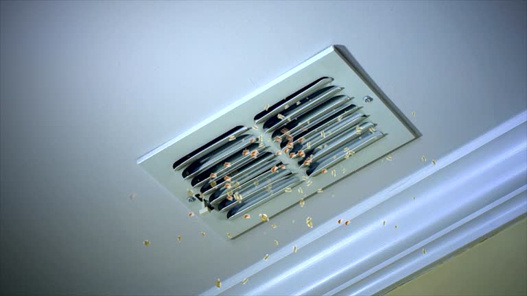 Best Local Air Duct Cleaning Services  in Benson, UT